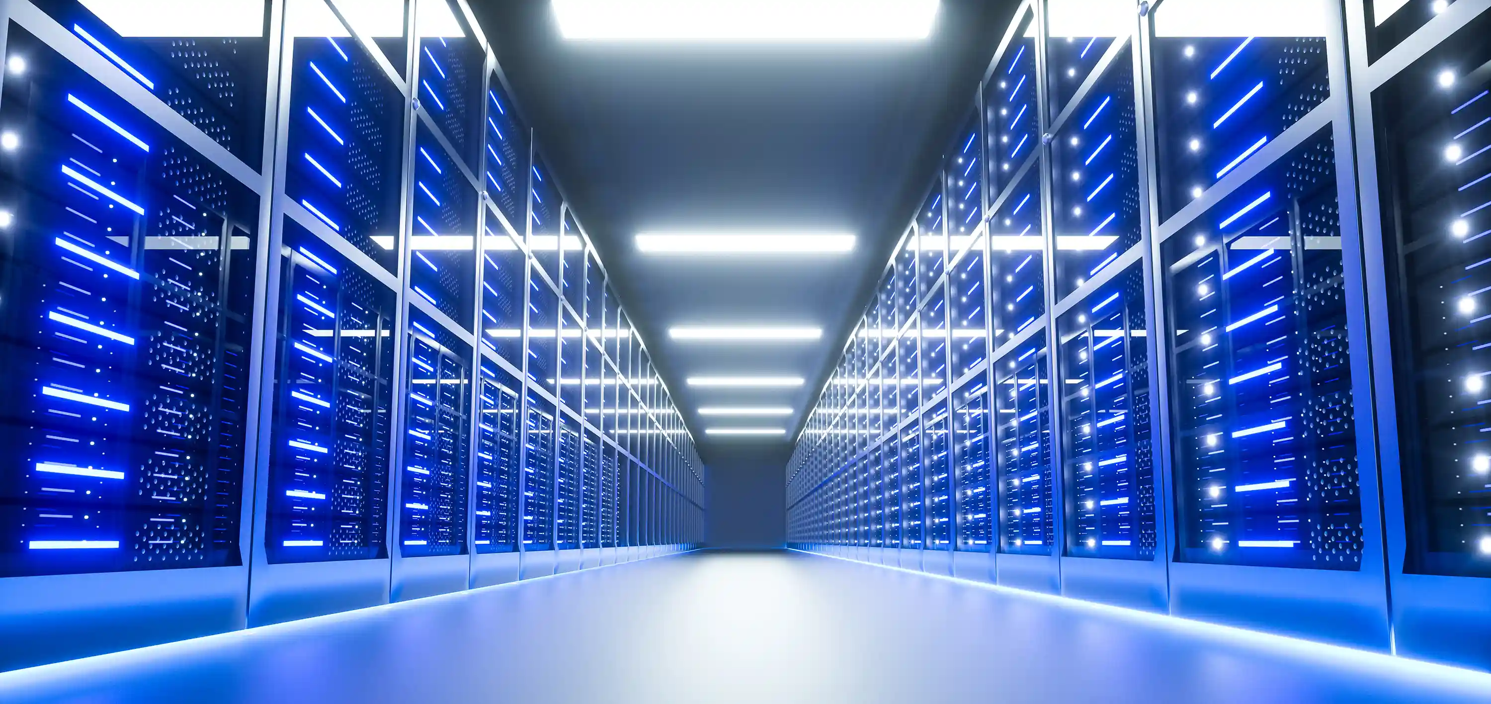 IT Services &
Technology